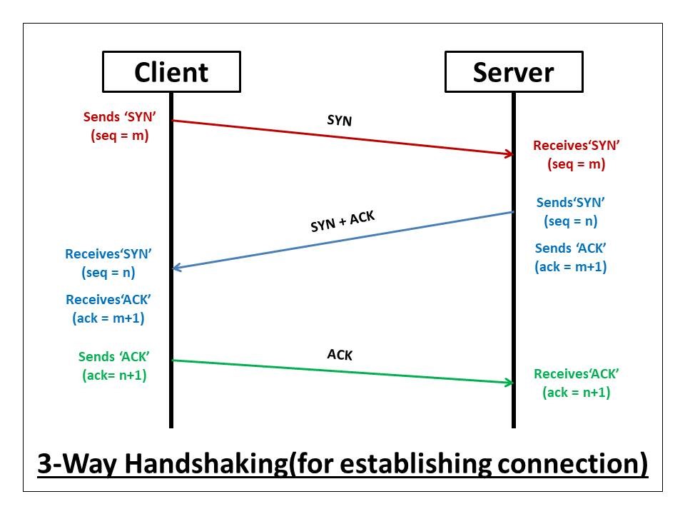 Host closed the connection